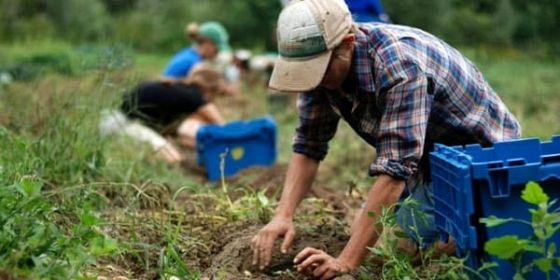 Agricoltura un passo verso la sostenibilità: scenari e strategie per l’inclusione sociale