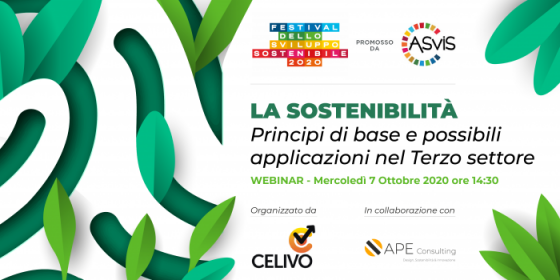 La sostenibilità: principi di base e possibili applicazioni nel Terzo settore