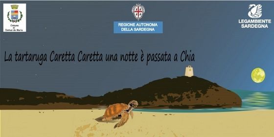 Una notte una tartaruga Caretta Caretta è passata a Chia